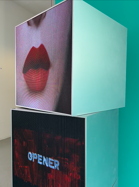 Pantalla LED de escaparate orientable · foto 3